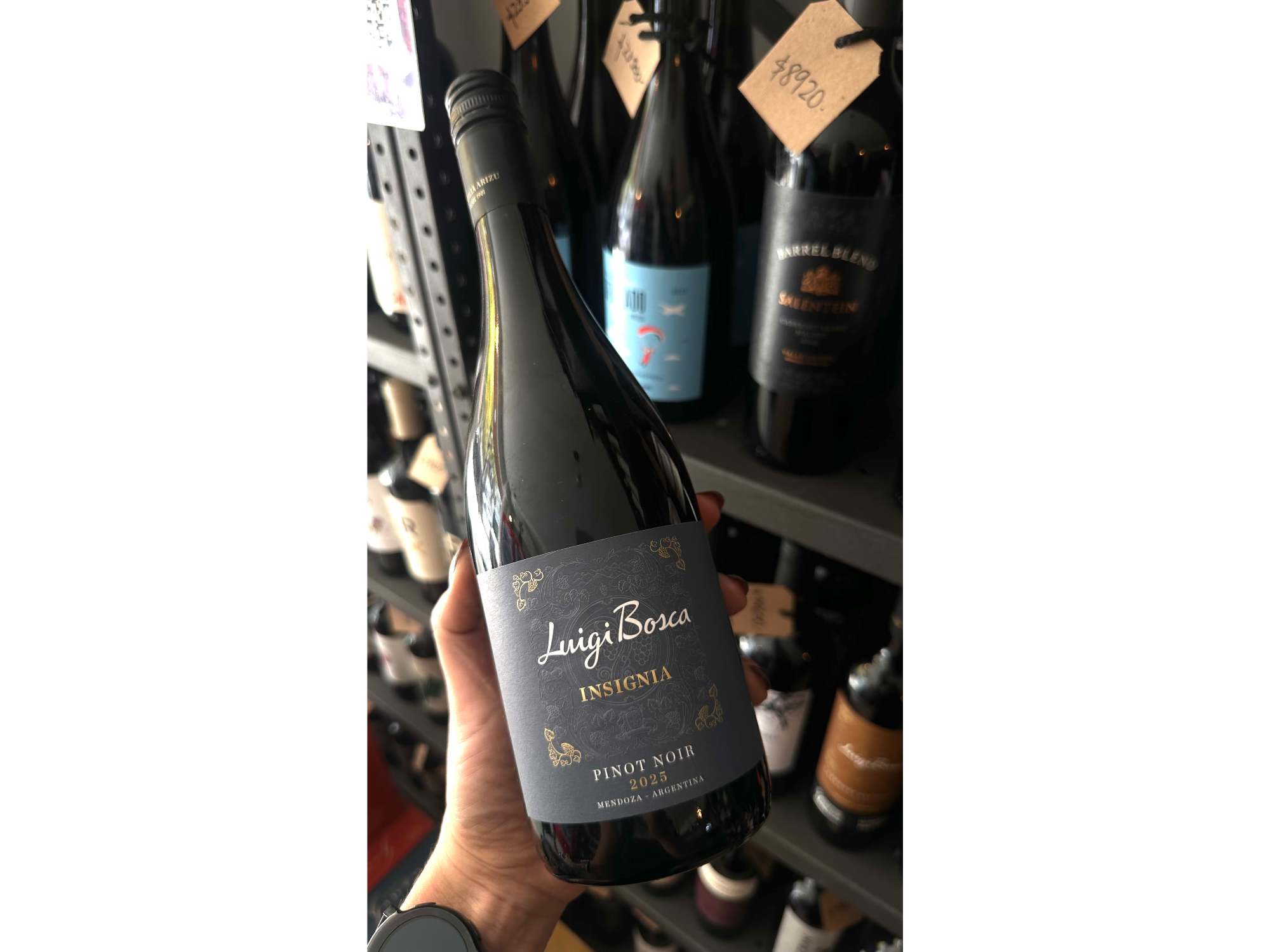 Luigi Bosca Pinot Noir
