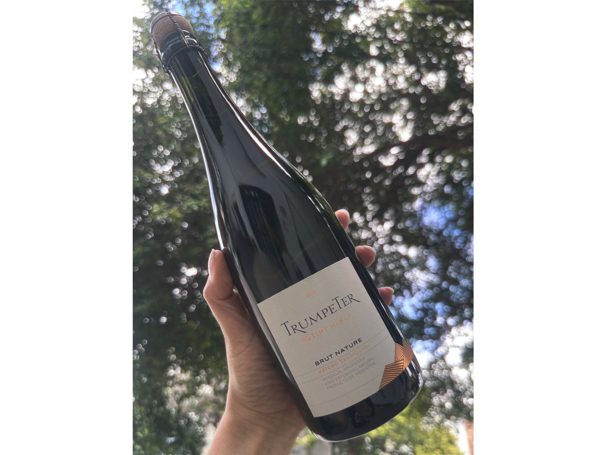 Trumpeter Brut Nature Caja x6 de Tienda Bardo