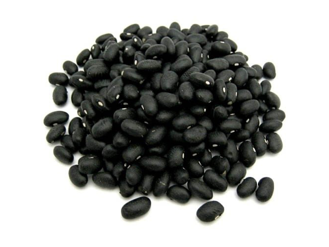 POROTO NEGRO