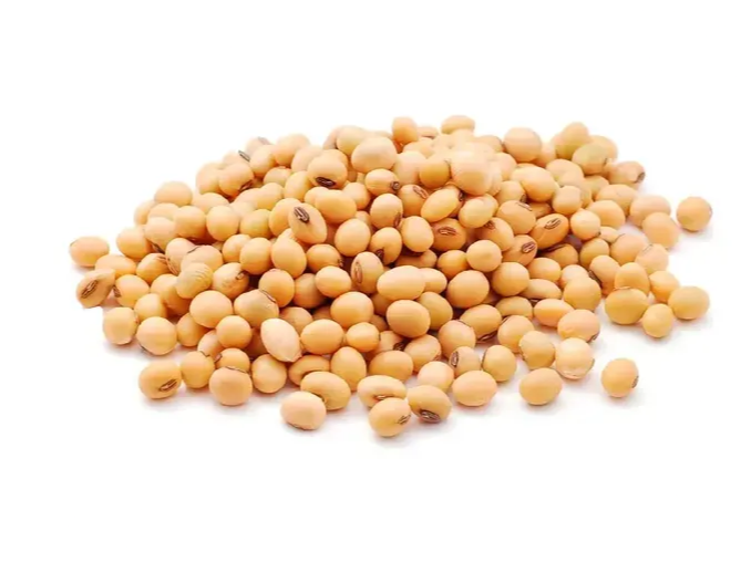 Poroto de soja