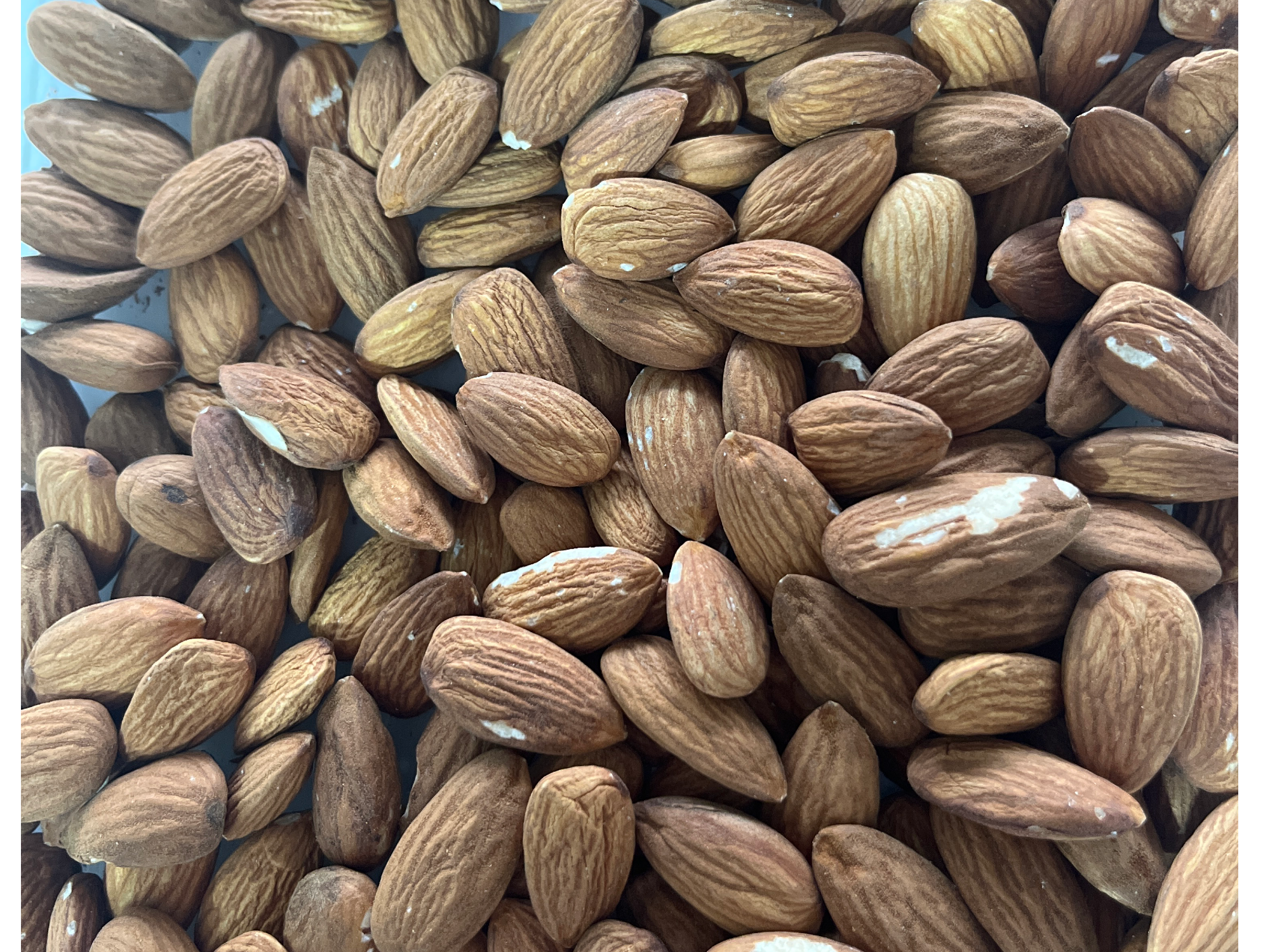 Almendras non pareil