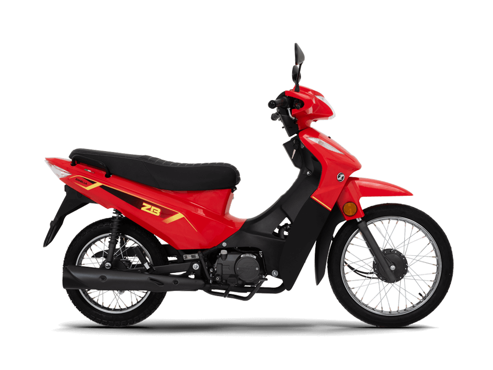 ZB 110 ST