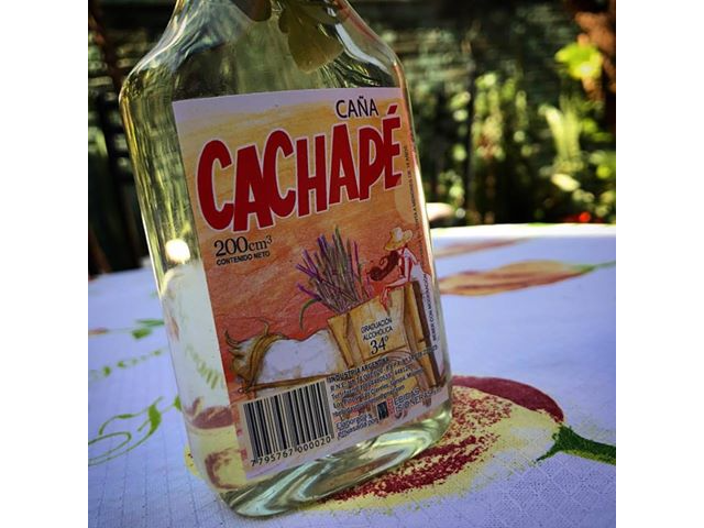 caña cachape petaca color 12 x  200