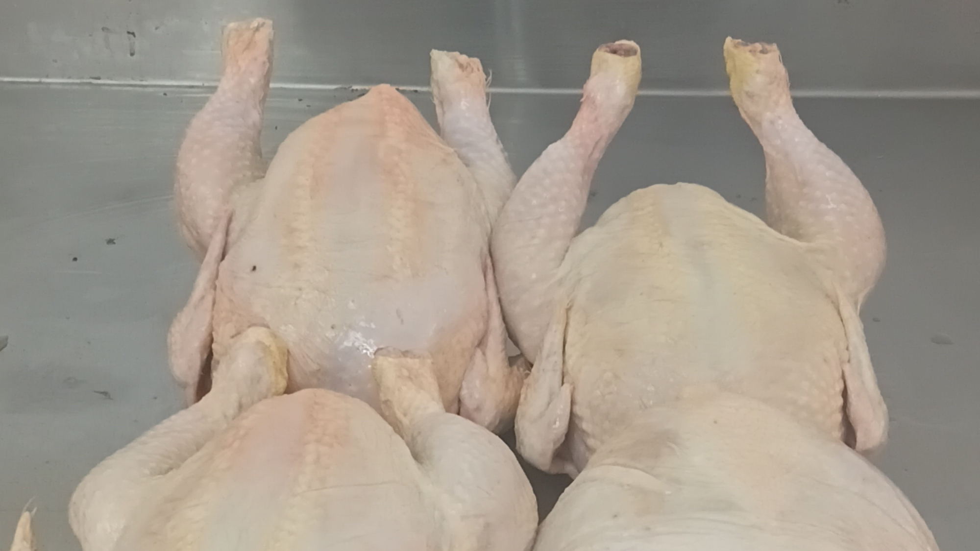 Pollos