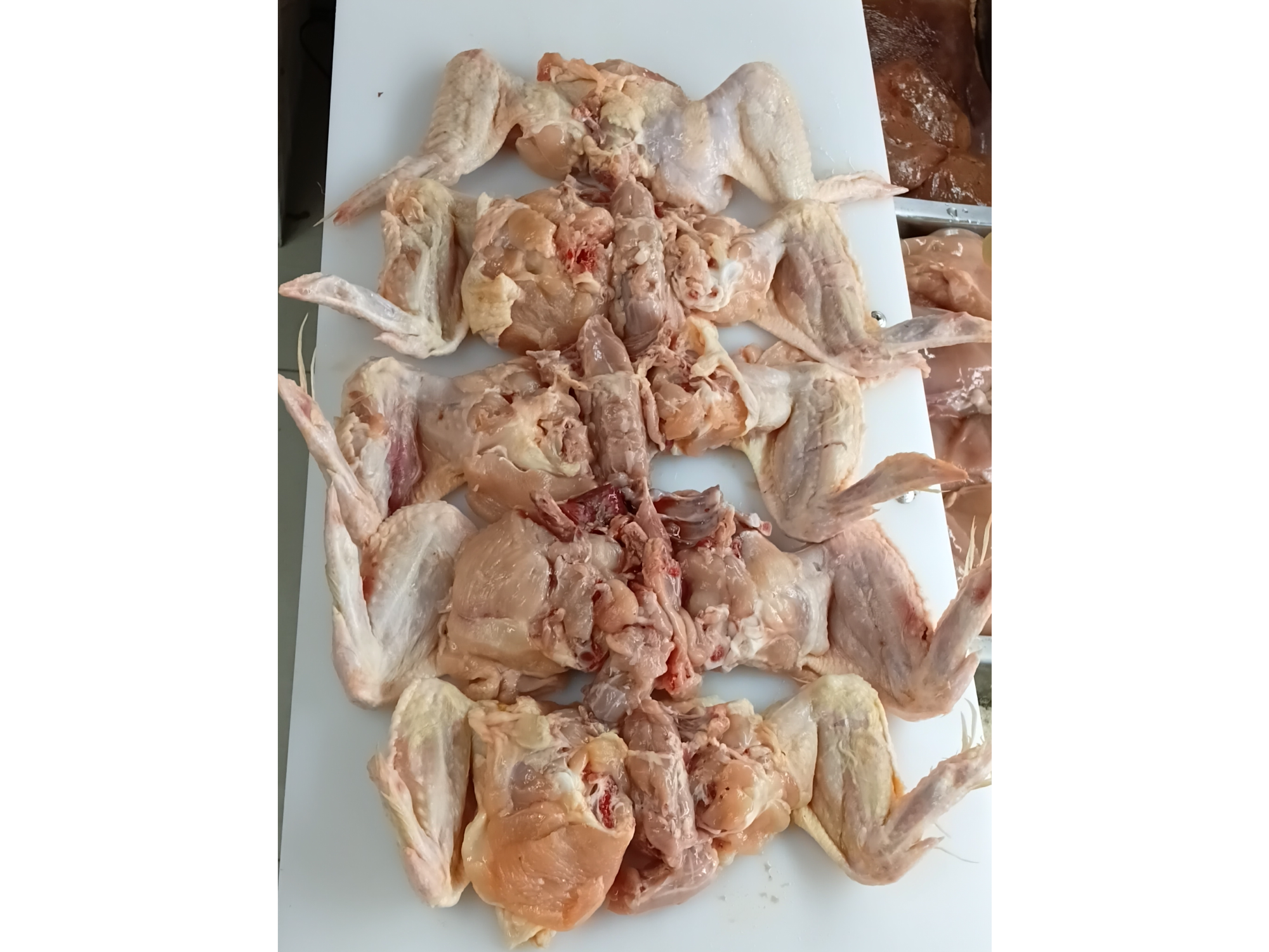 Alitas