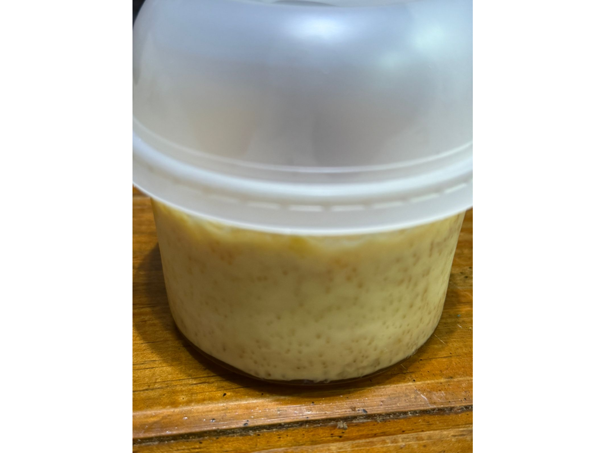 FLAN CASERO CON DDL