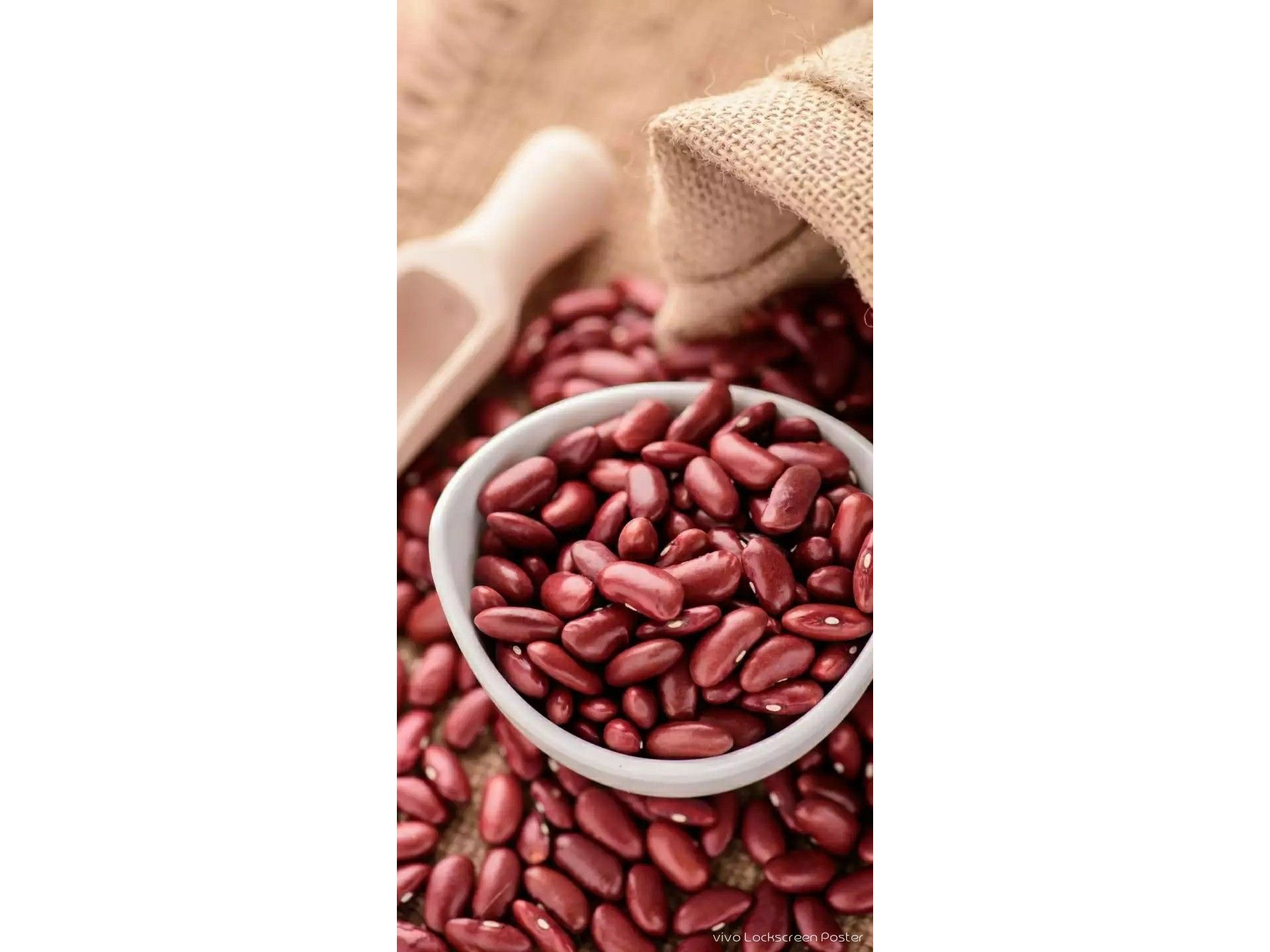 POROTOS ADUKI