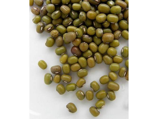 POROTOS MUNG