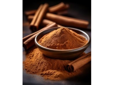 CANELA EN POLVO