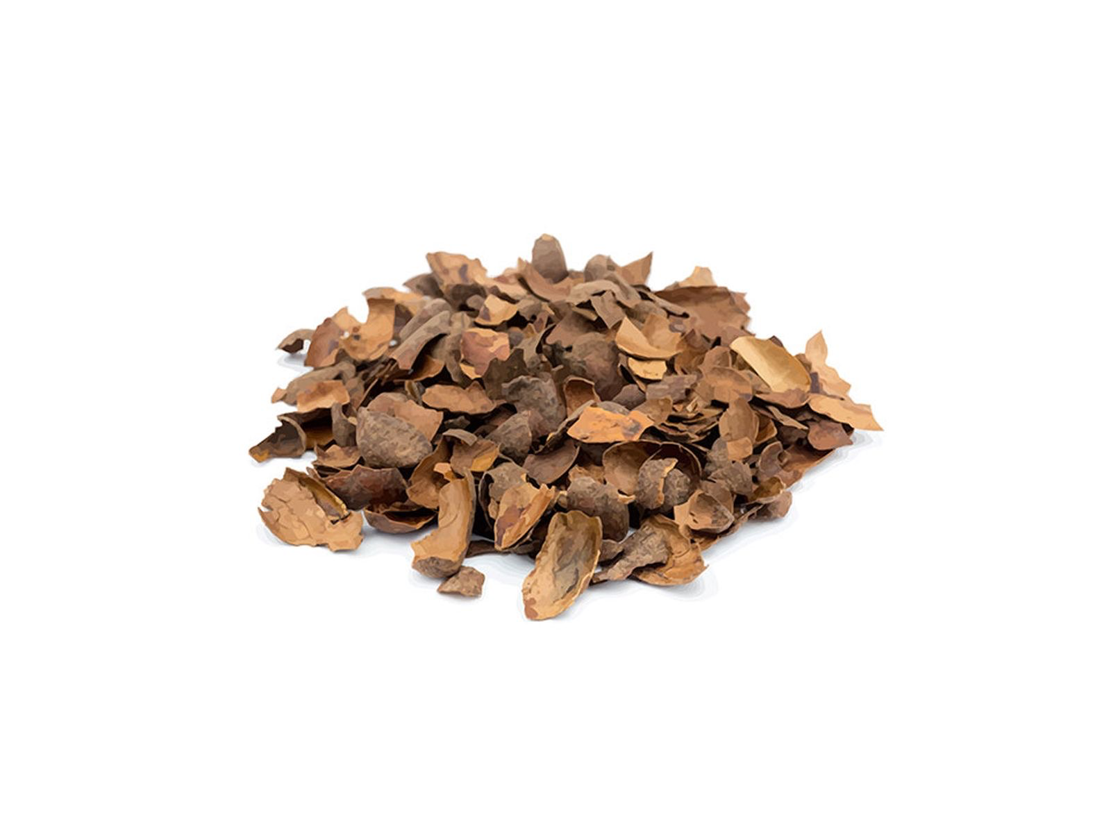 CASCARILLA CACAO ENTERA