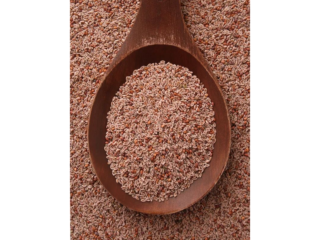 PSYLLIUM