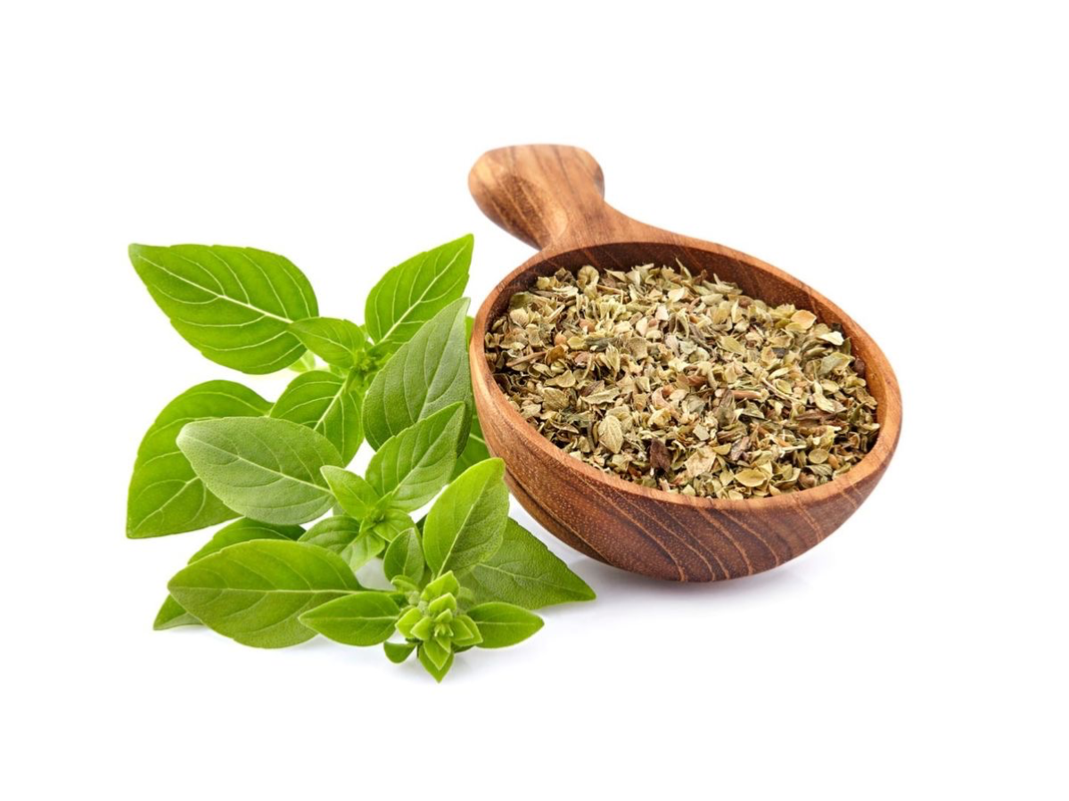 ALBAHACA