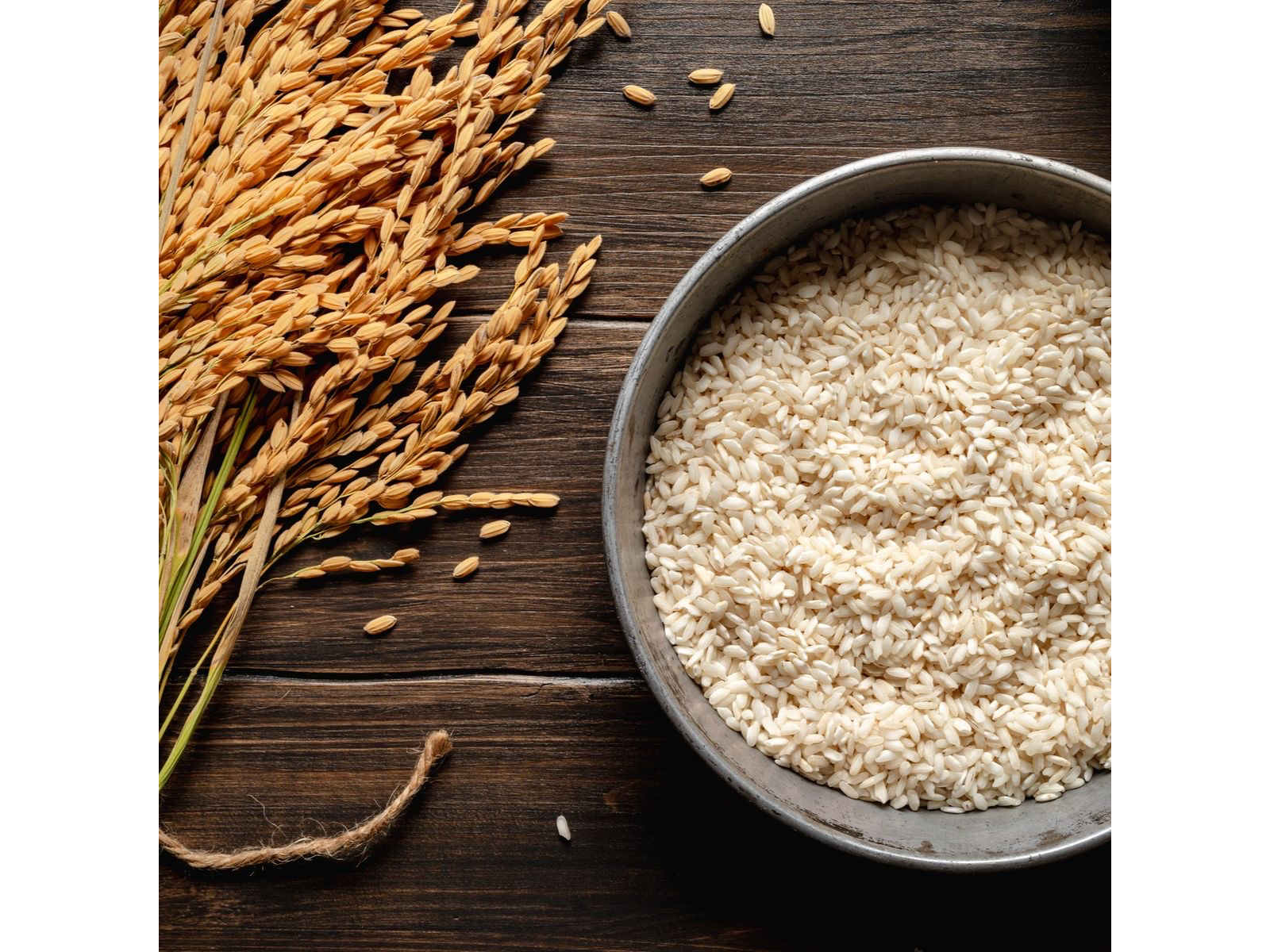 ARROZ CARNAROLI