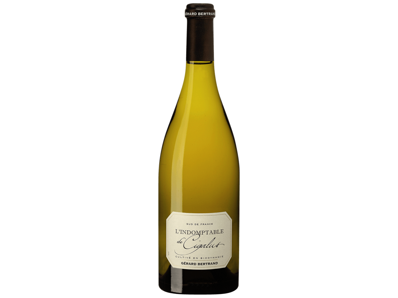 L´Indomptable de Cigalus pur Sauvignon Blanc 2022 Pays D´OC IGP