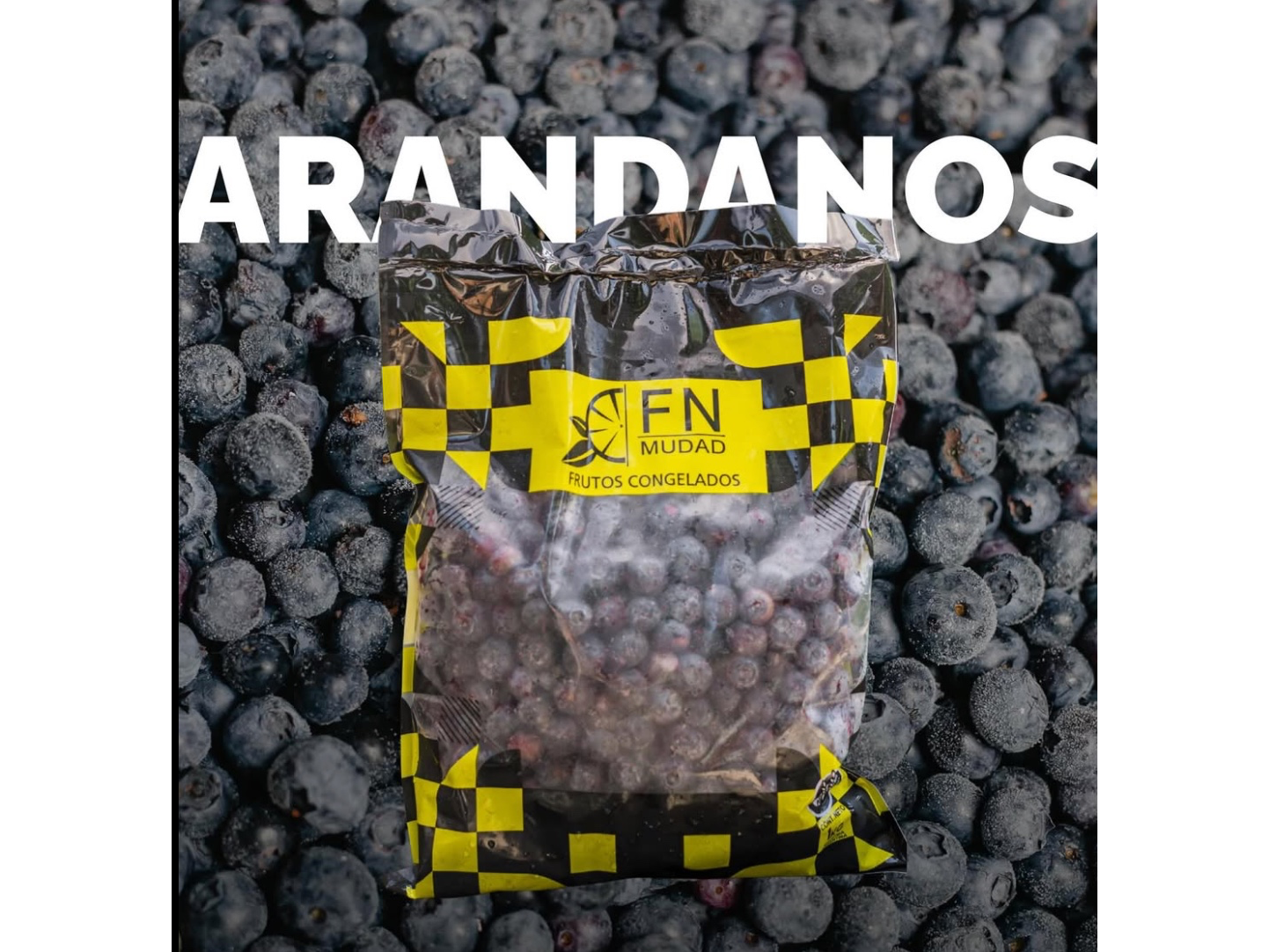 Arandanos x5kg
