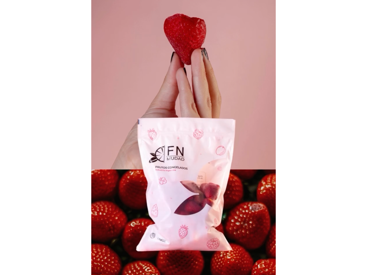 Frutillas Granel x13,6kg