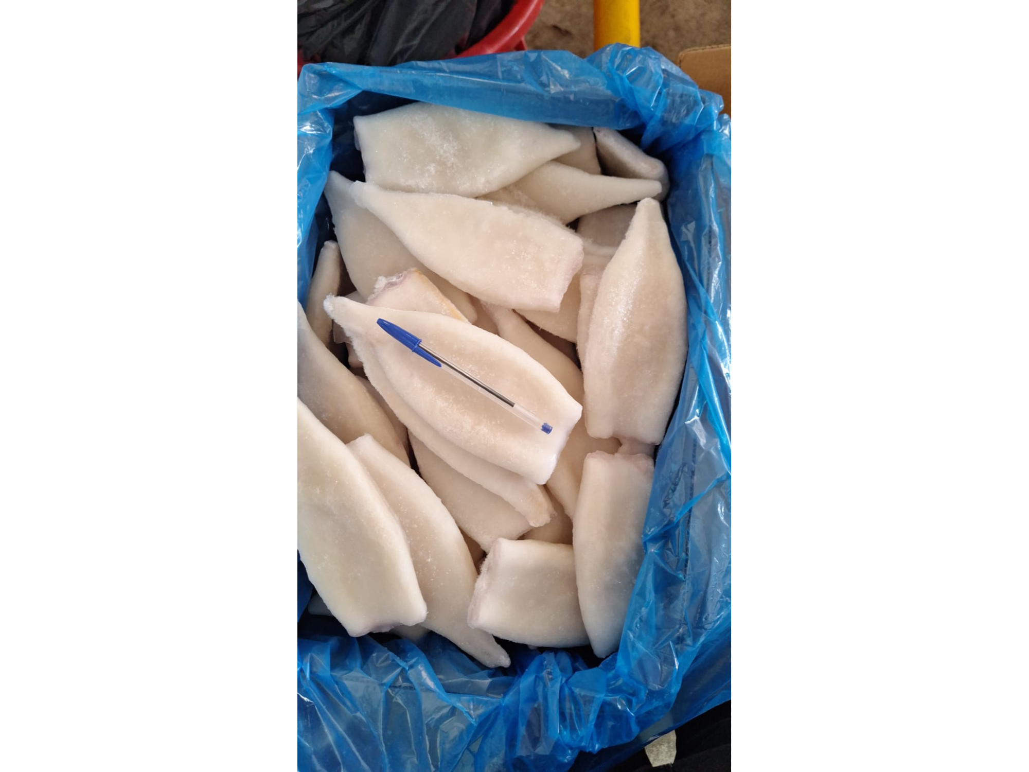 TUBO CALAMAR IQF x4.5 KG