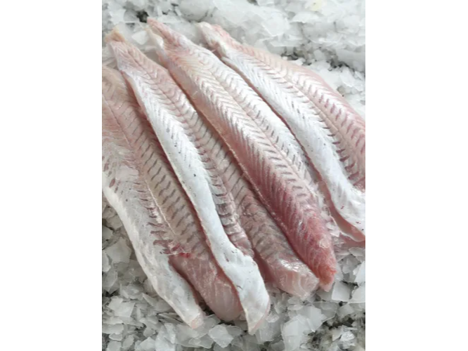 Merluza fresca x20 kg