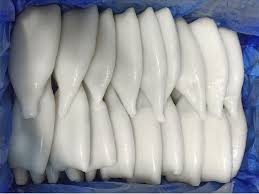 Tubo de Calamar IQFx 4.5kg Skua