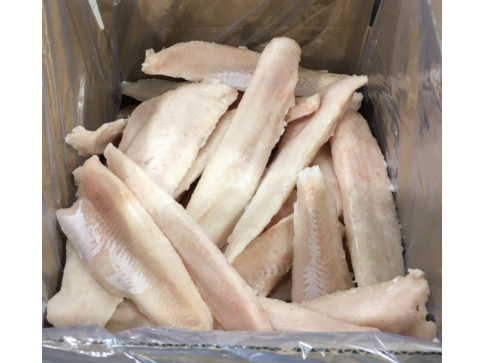 Merluza Cong Sin espinas IQF x11kg