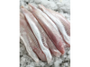 Merluza fresca x20 kg