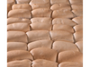 Pan Chip 60uni x7cm (para pata)