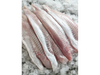 Merluza fresca x20 kg