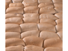 Pan Chip 60uni x7cm (para pata)