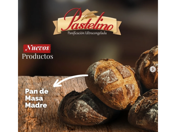 PAN MASA MADRE pre-cocidox12uni350gr c/u