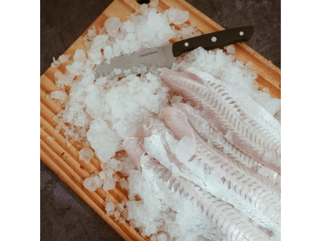 Merluza congelada x10kg