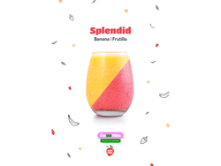 SMOOTHIES DUO - SPLENDID:BANANA / FRUTILLA  x15 UNIDADES