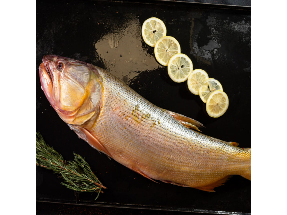 Dorado Entero  Cong. al Peso kg