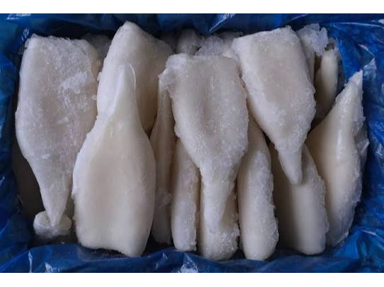 TUBO DE CALAMAR IQF X 18KG