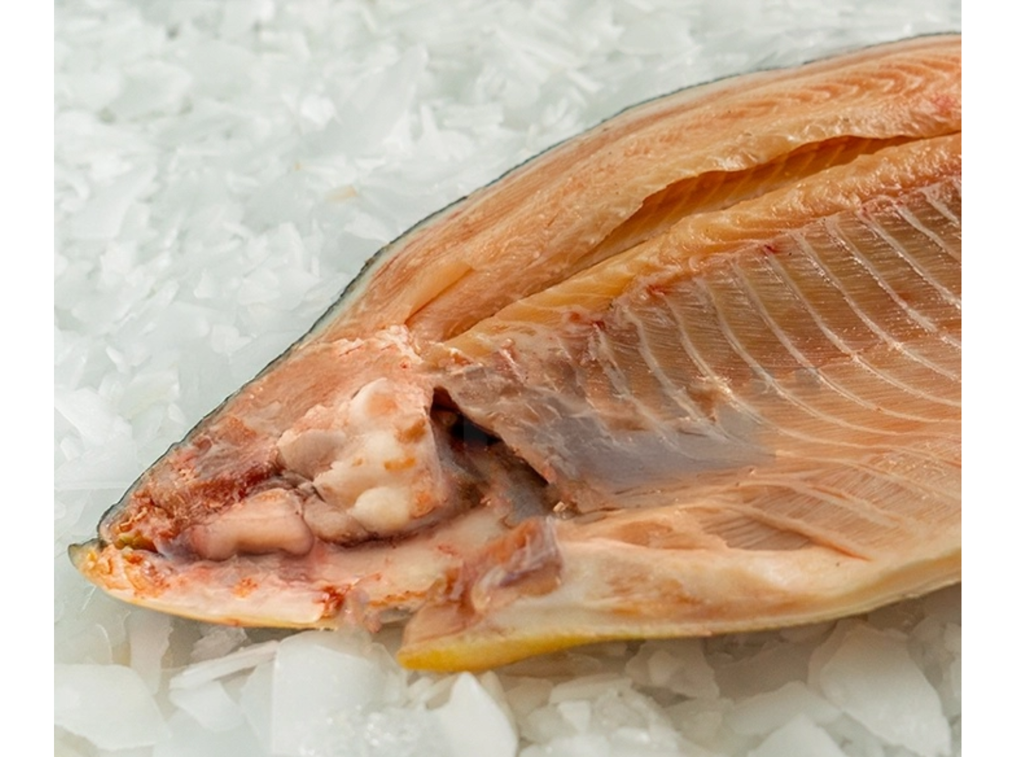 Sabalo Despinado al Peso Cong. kg