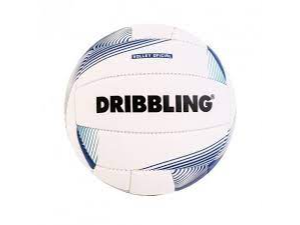 Pelota Voley DRB Classic 1.0 N 5