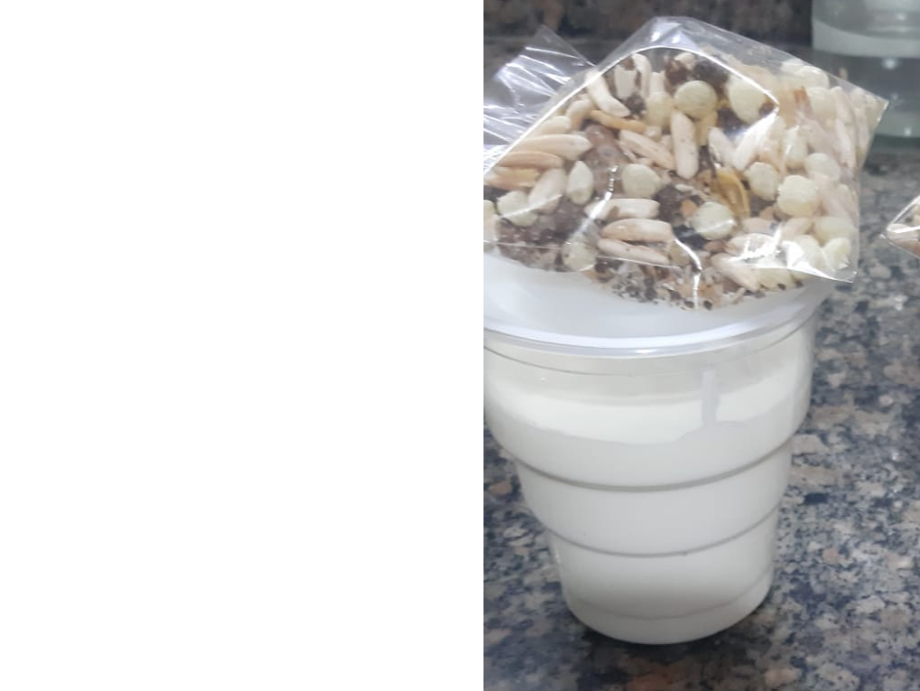 Yogurt Natural c/Granola x 150g