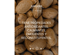 ALMENDRA X 100 ML