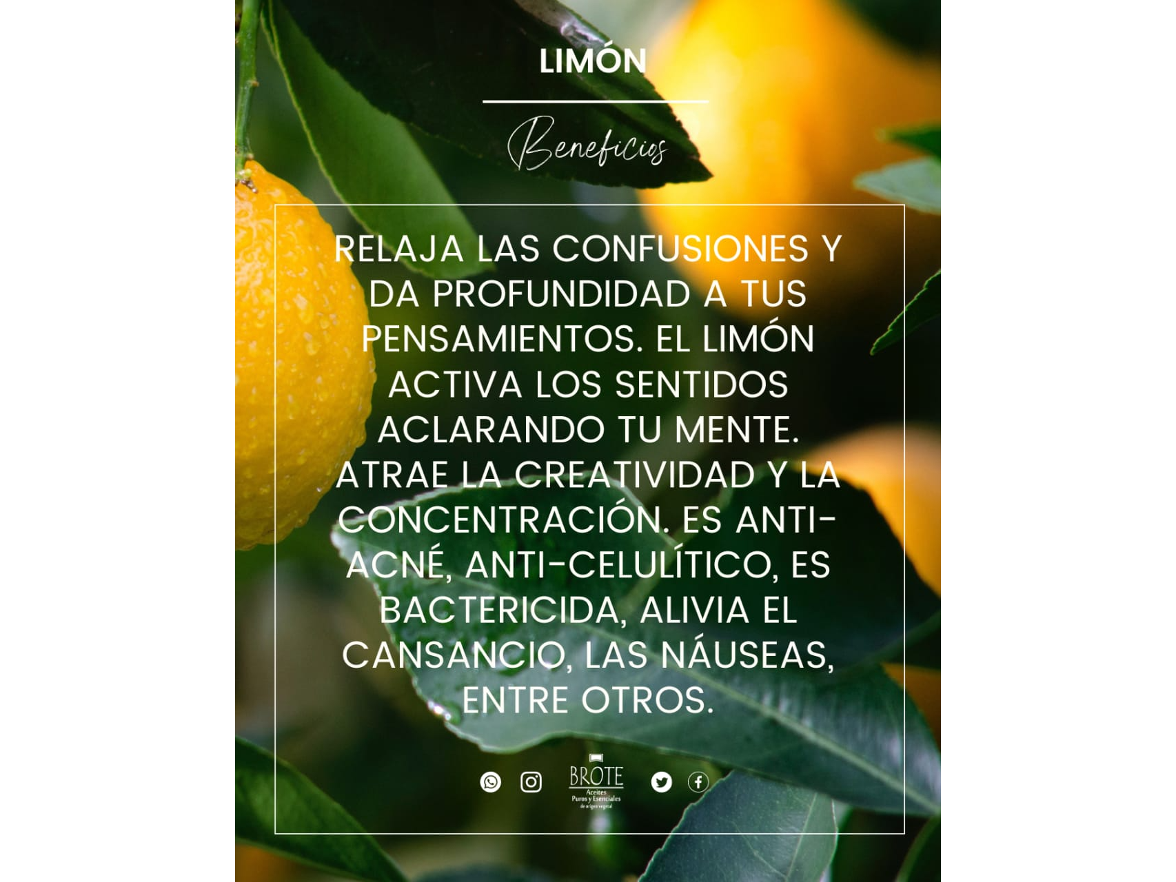 LIMON x 10 ML