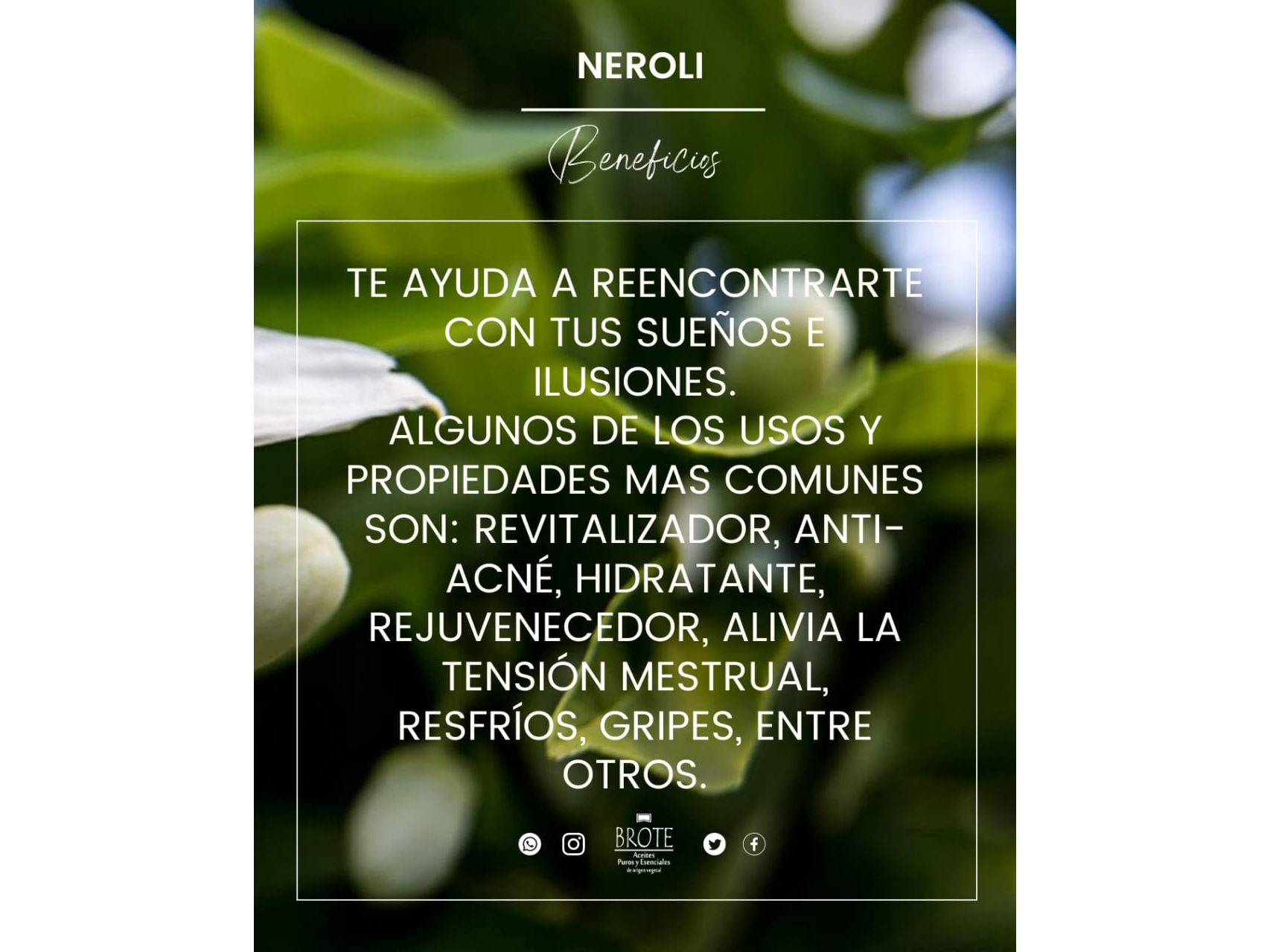 NEROLI x 10 ML