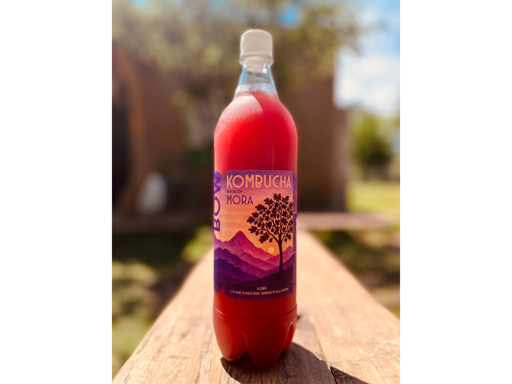 BOW KOMBUCHA  MORA 500 ML