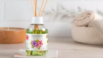 DIFUSORES EN VARILLA