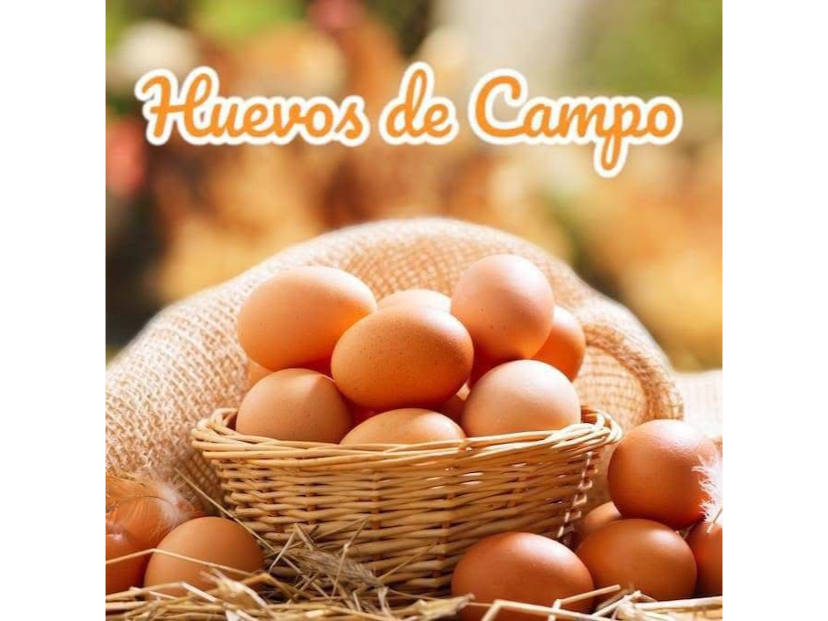 HUEVOS DE CAMPO