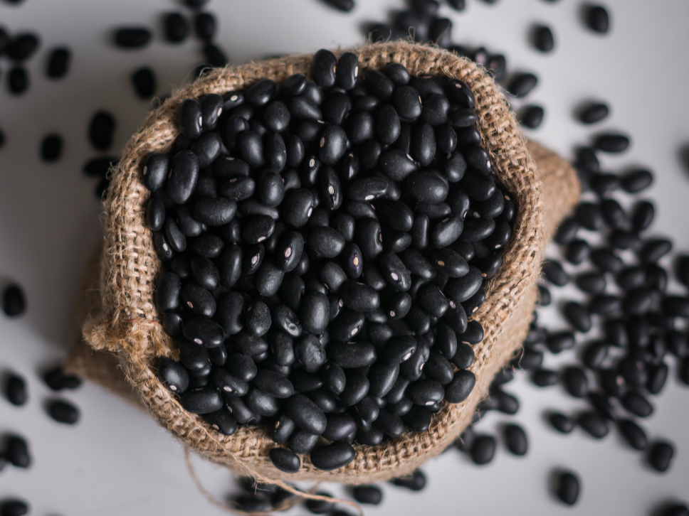 POROTO NEGRO