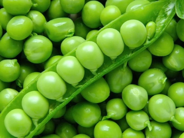 ARVEJAS
