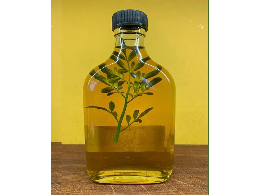 CAÑA CON RUDA PACHAMAMA