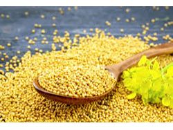 MOSTAZA EN GRANO