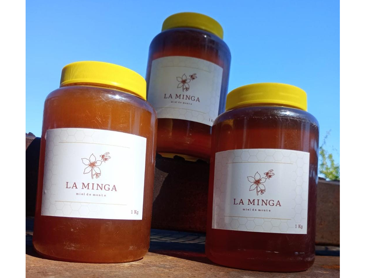 MIEL LA MINGA 1 KG