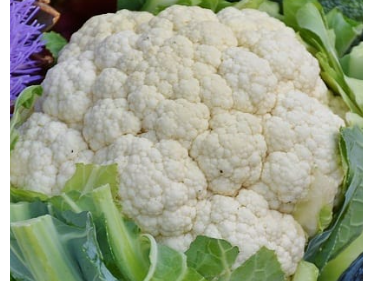 COLIFLOR