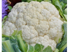 COLIFLOR
