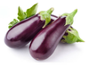 BERENJENA